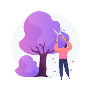 Bonus: The Image "Trim Down"